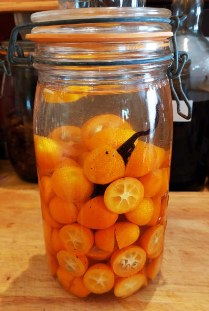 Rhum Kumquats