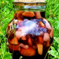 Confiture de Vieux Garçons