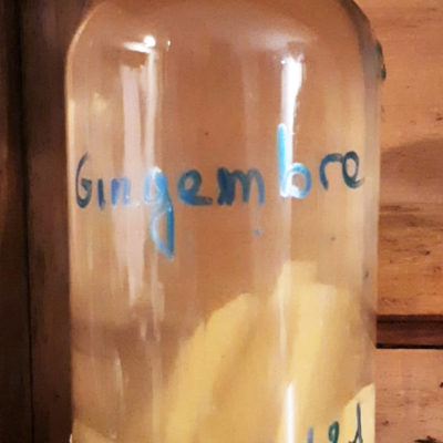 Vodka Gingembre