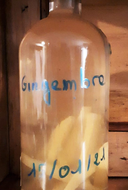 Vodka Gingembre