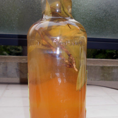 Rhum Confiture Exotique