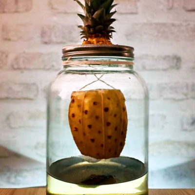 Rhum Ananas Qui Pleure Epluche