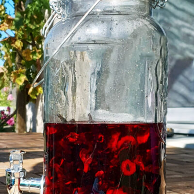 Vodka Myrtilles Gingembre Hibiscus