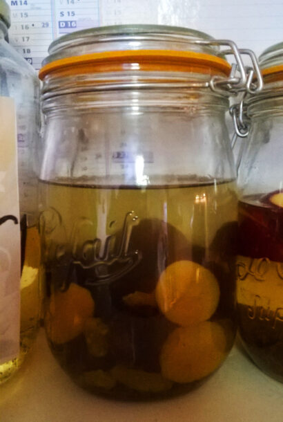 Rhum Pruneaux, Abricots & Raisins secs