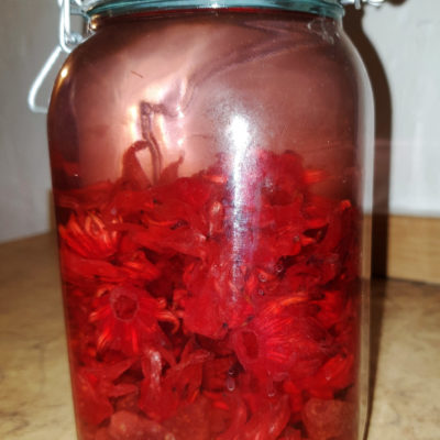 Rhum Fraises Fleurs Hibiscus