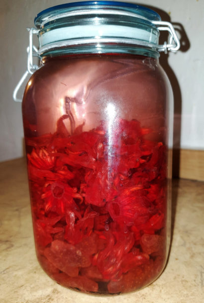 Rhum Fraises & Fleurs d’hibiscus