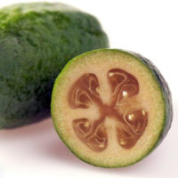 feijoa