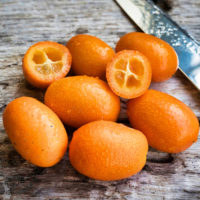 kumquat