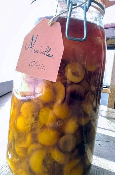 Rhum Mirabelles en Sirop