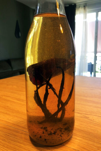 Rhum Vanilla Hot