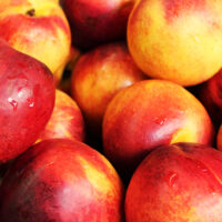 Nectarines