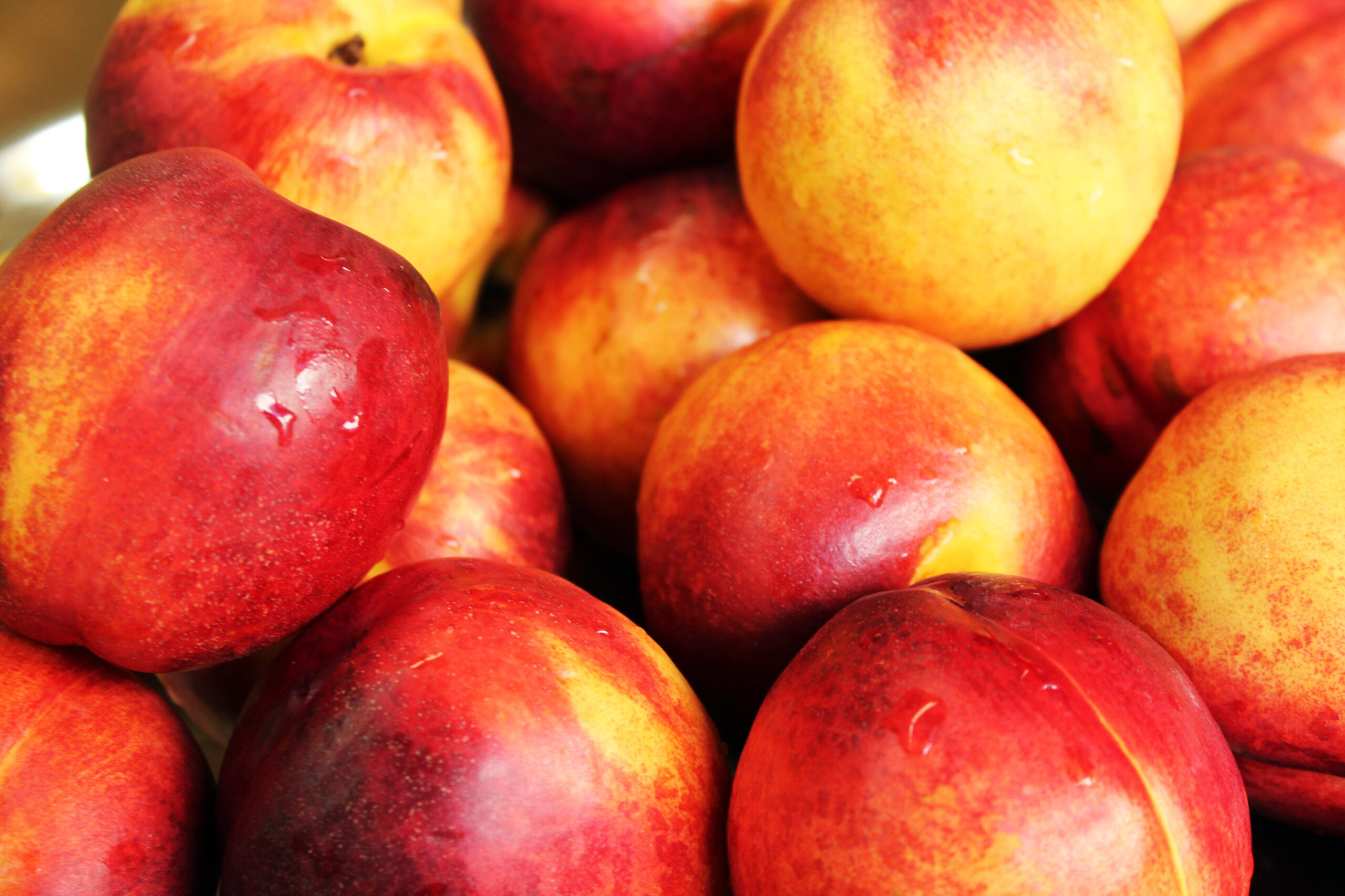 Nectarines