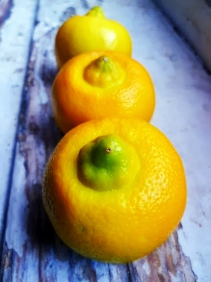 Citron Bergamote