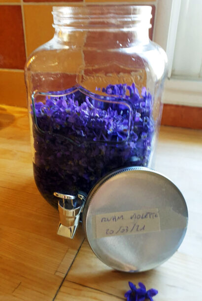 Rhum Violettes Fraîches