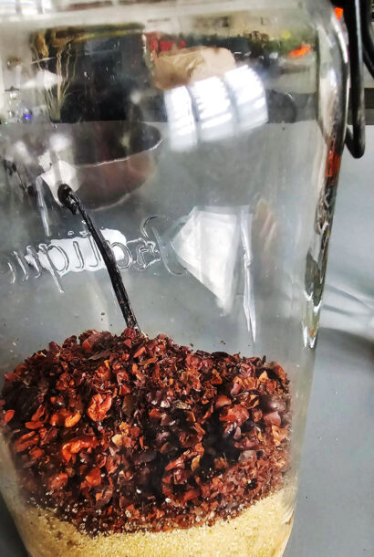 Rhum Vanille & Poivre de Sichuan